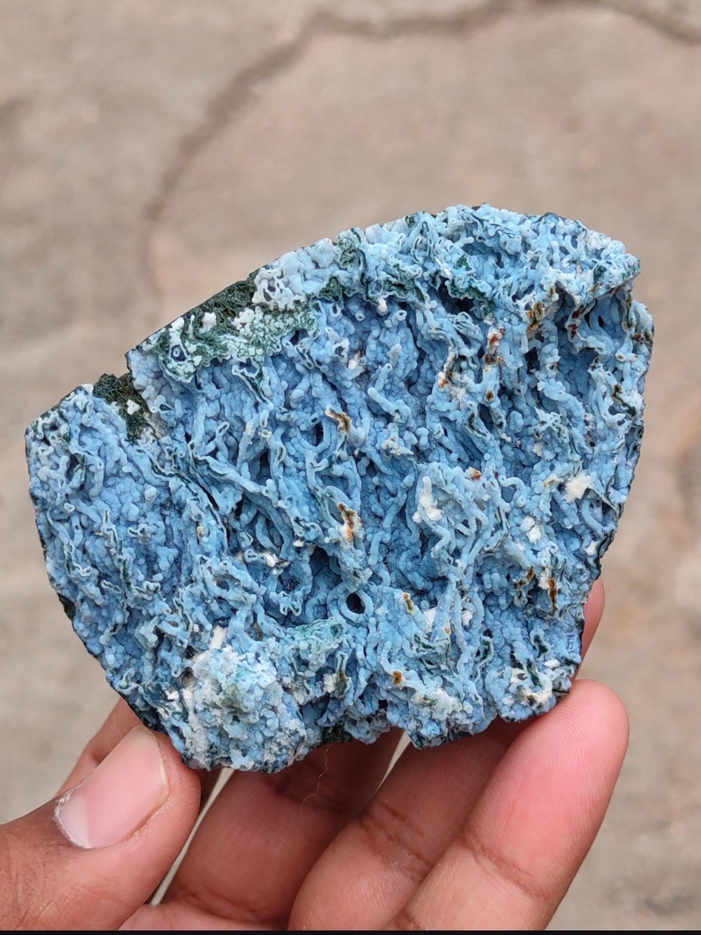 Blue Chrysocolla / Botryoidal Mineral Specimen